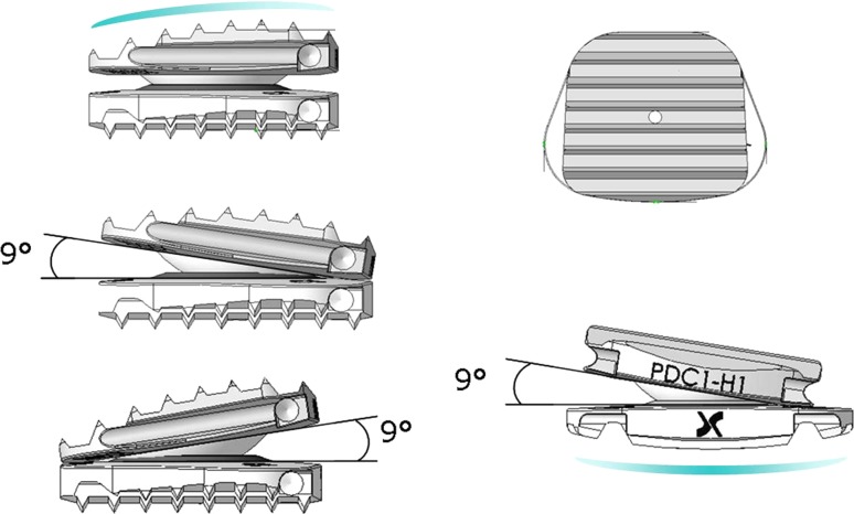 Fig. 1