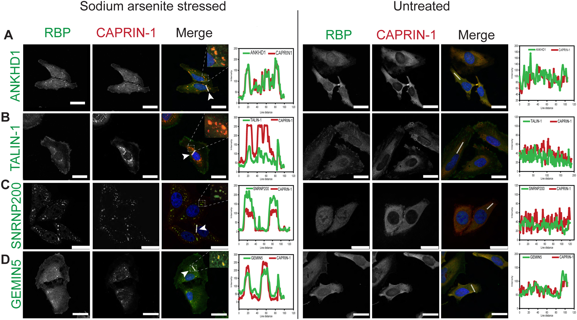 Figure 4: