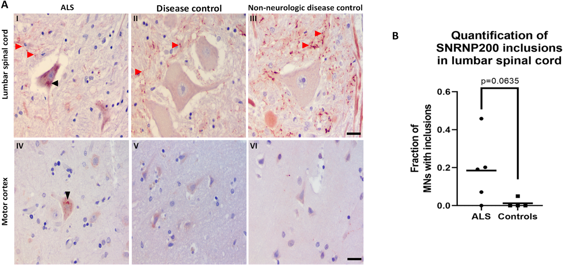 Figure 7: