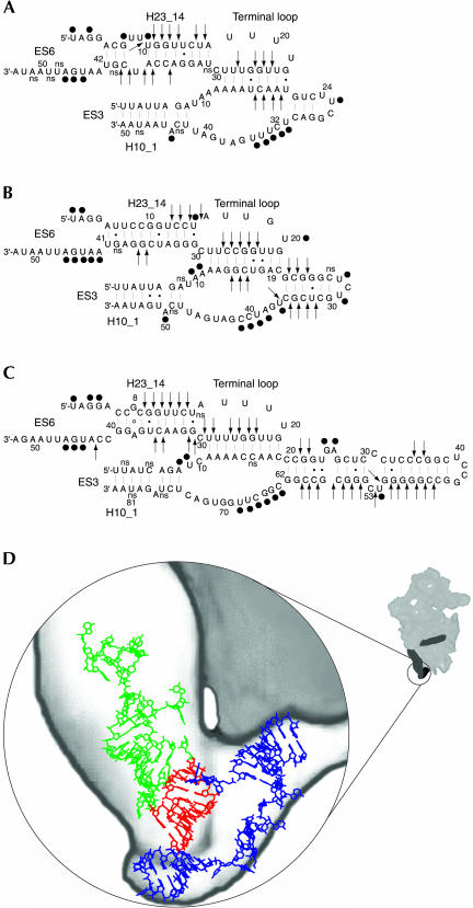 FIGURE 3.