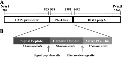 FIG. 1.