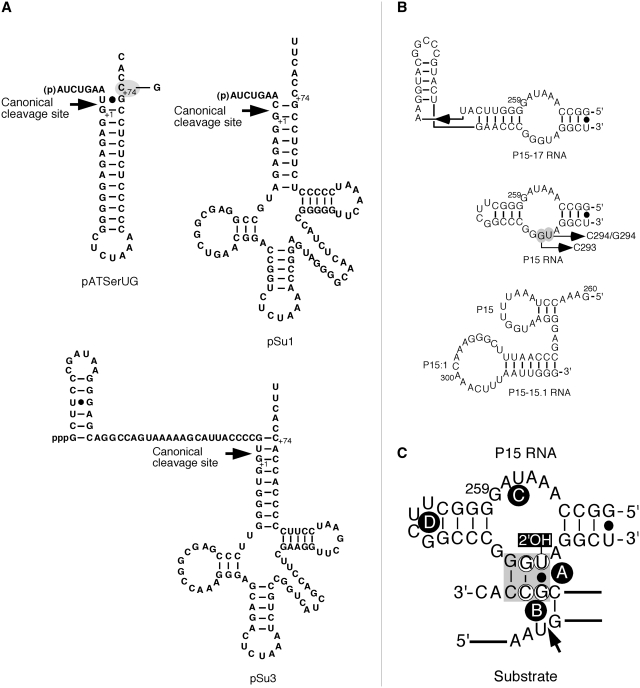 Figure 2.