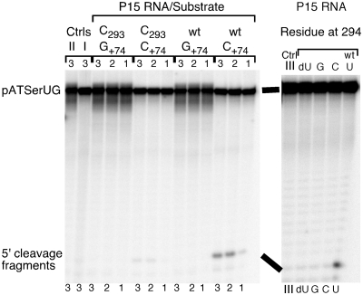 Figure 5.