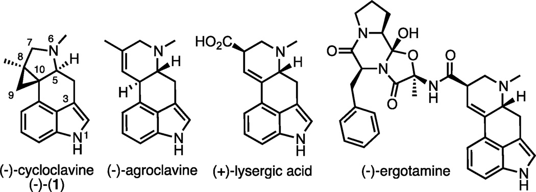 Figure 1