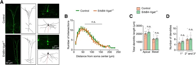 Figure 11.