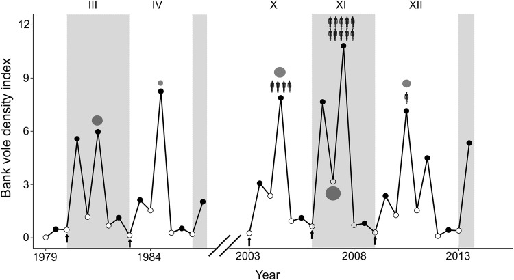 Figure 5