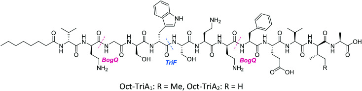 Fig. 7