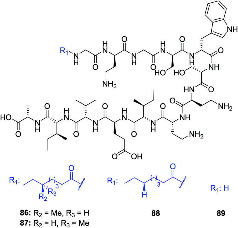 Fig. 10