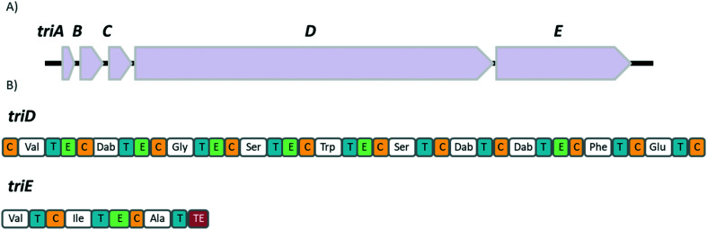 Fig. 2