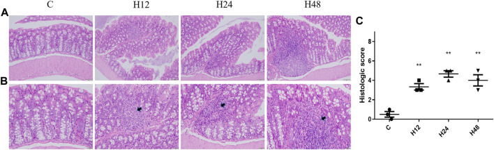 FIGURE 1