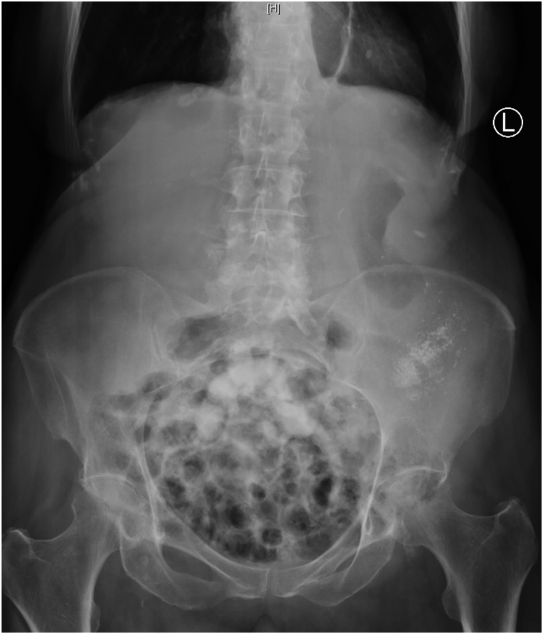 Figure 4 