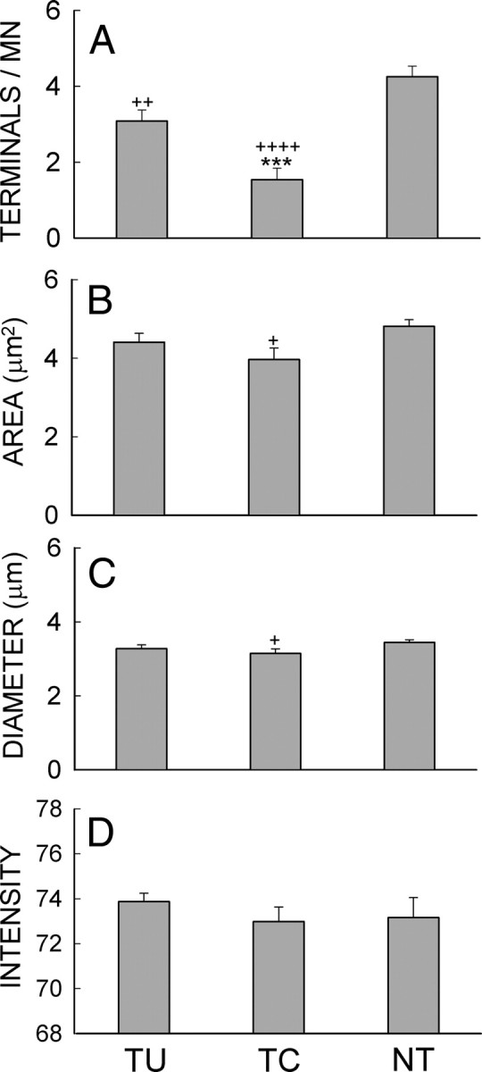 Figure 9.