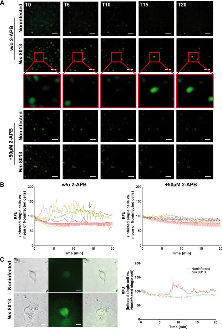 FIG 3