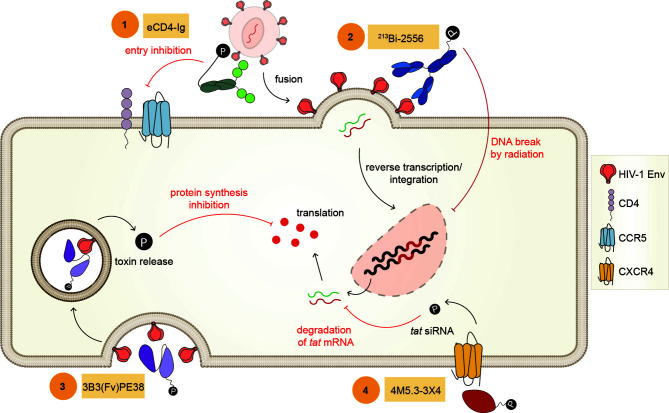 Figure 4