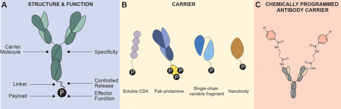 Figure 1