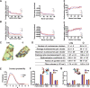 Figure 2—figure supplement 3.