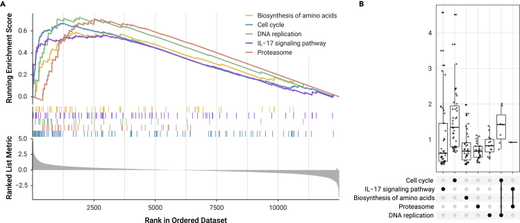 Figure 2