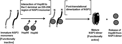 FIGURE 9.