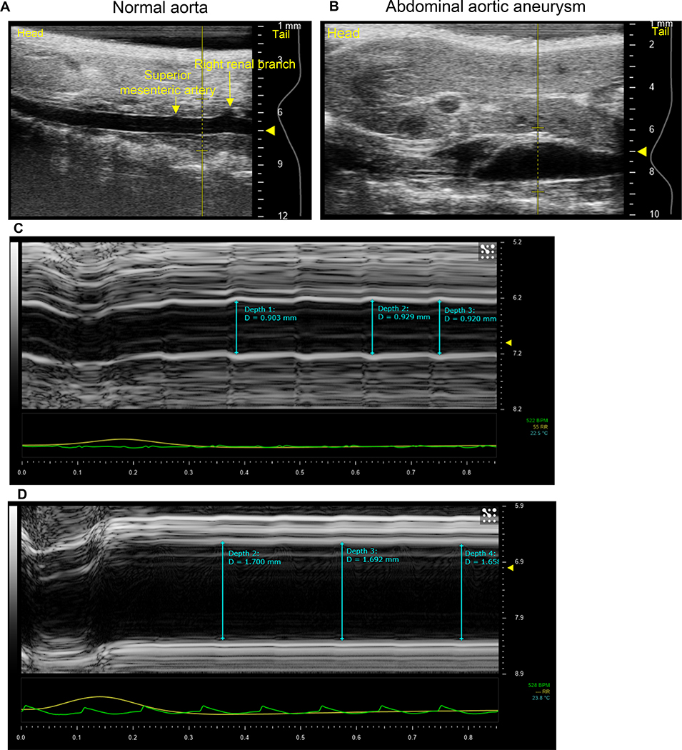 Figure 2: