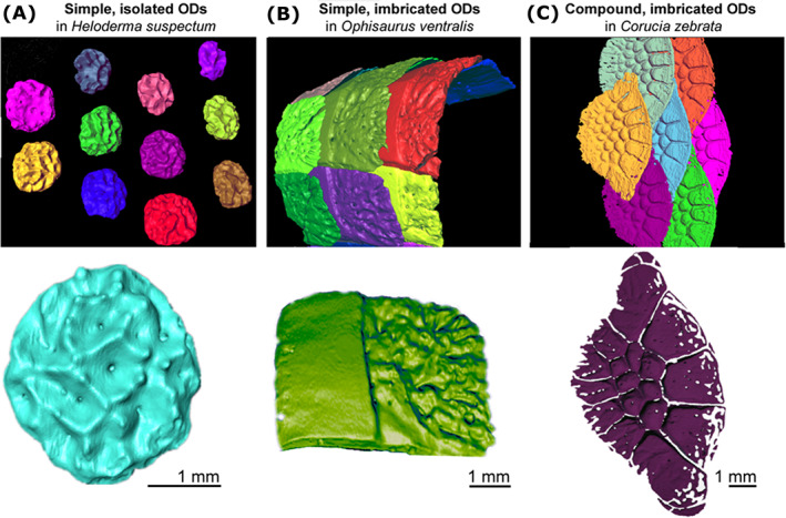 Fig. 3