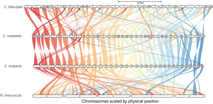 FIGURE 3