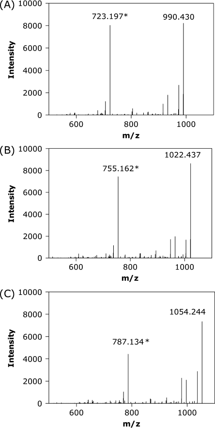 Fig. 9