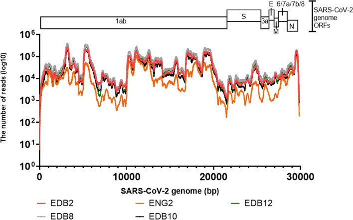 Fig. 2