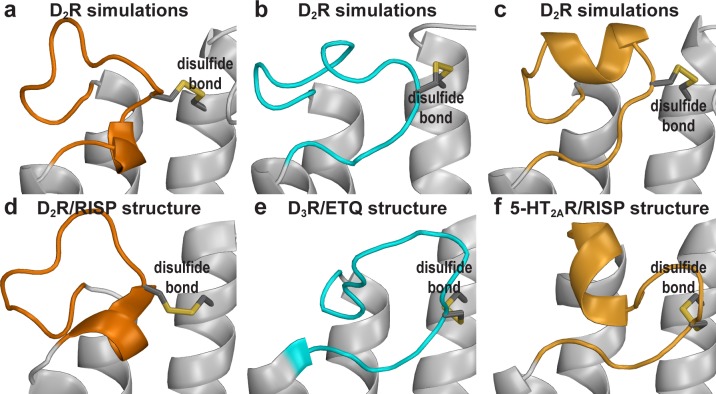 Figure 5—figure supplement 4.