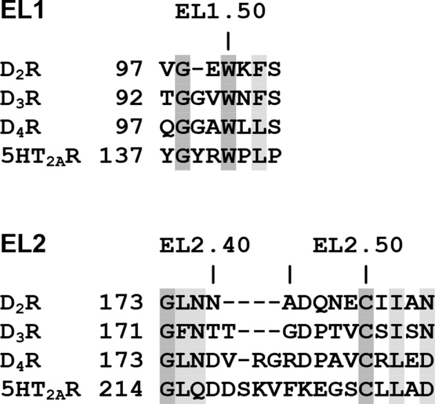 Figure 5—figure supplement 1.