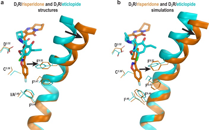 Figure 4—figure supplement 1.