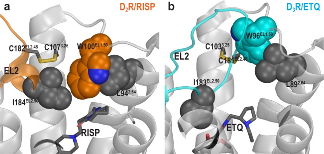 Figure 6—figure supplement 2.