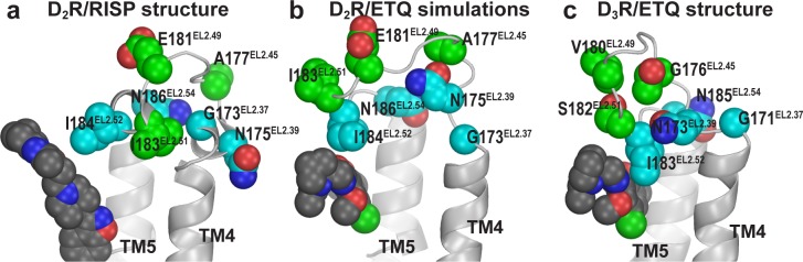 Figure 5—figure supplement 5.