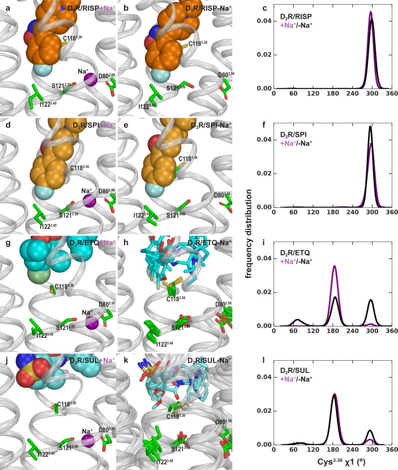 Figure 2—figure supplement 1.