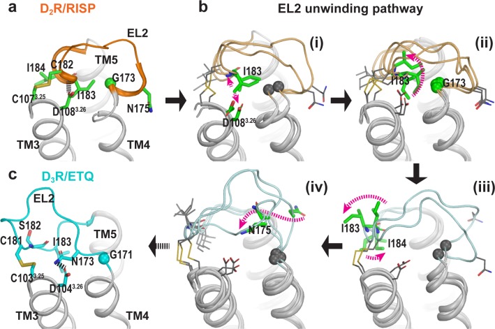 Figure 5—figure supplement 2.