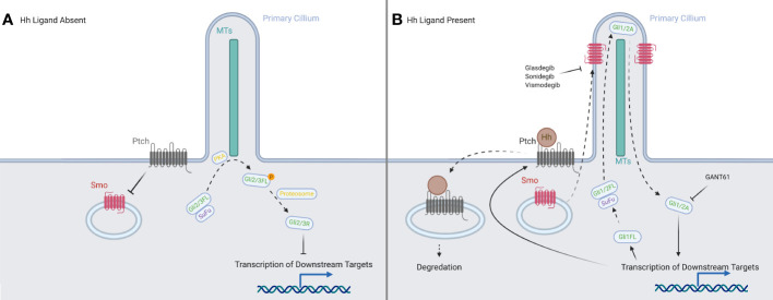 Figure 1