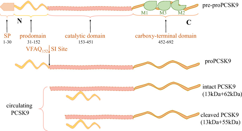 Fig. 2