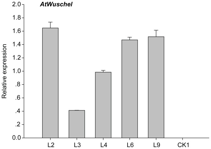 Figure 4