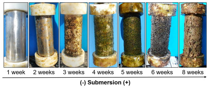 Figure 5. 