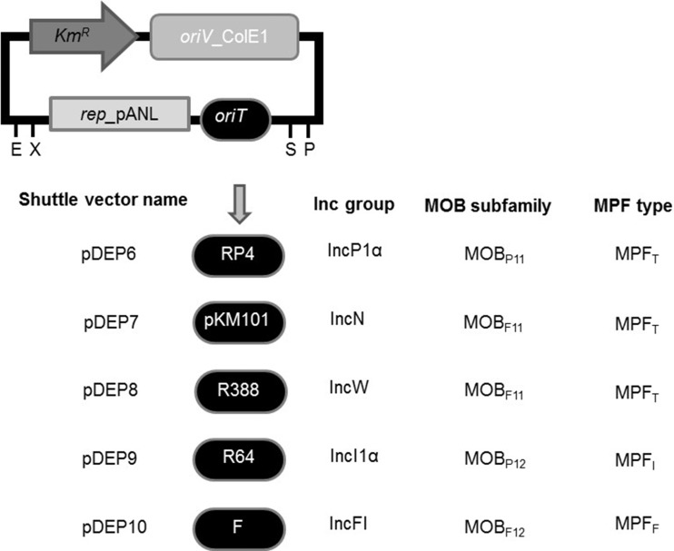 FIG 2