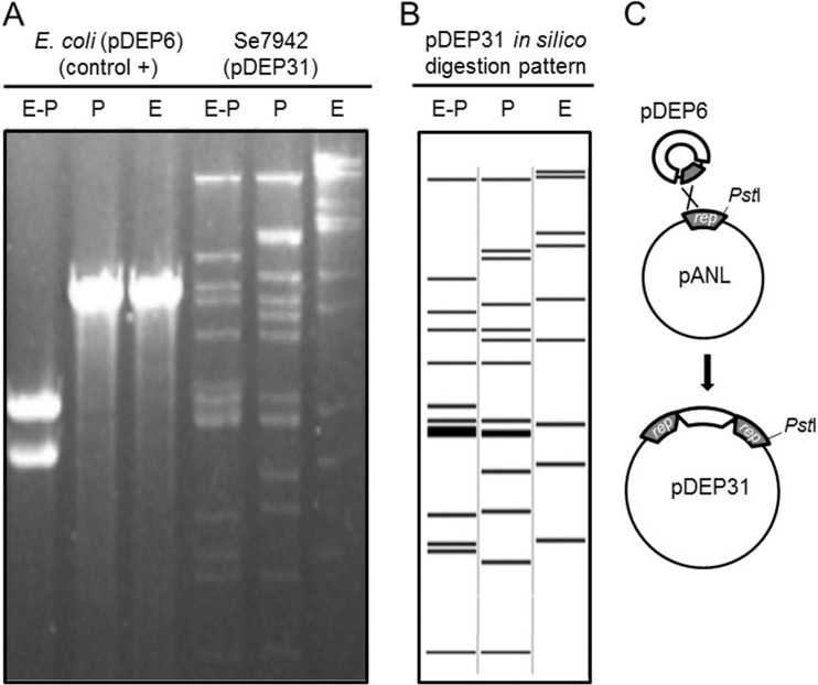 FIG 3