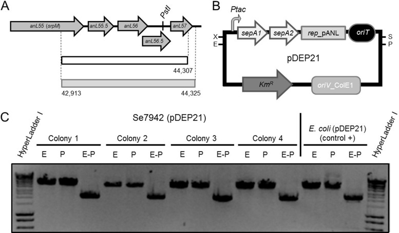 FIG 1