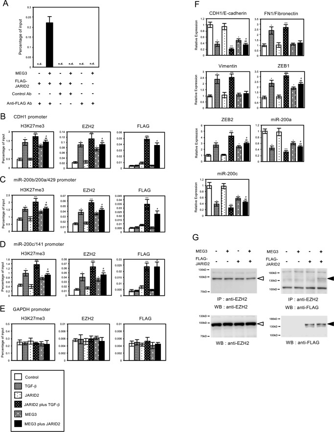 FIGURE 10.