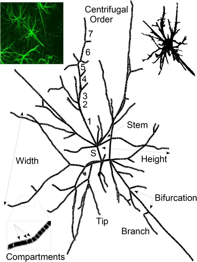 Fig 2