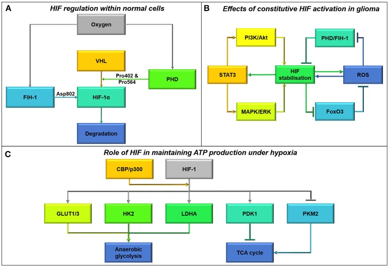 Figure 14