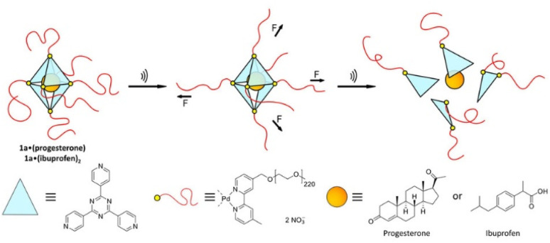 Fig. 12