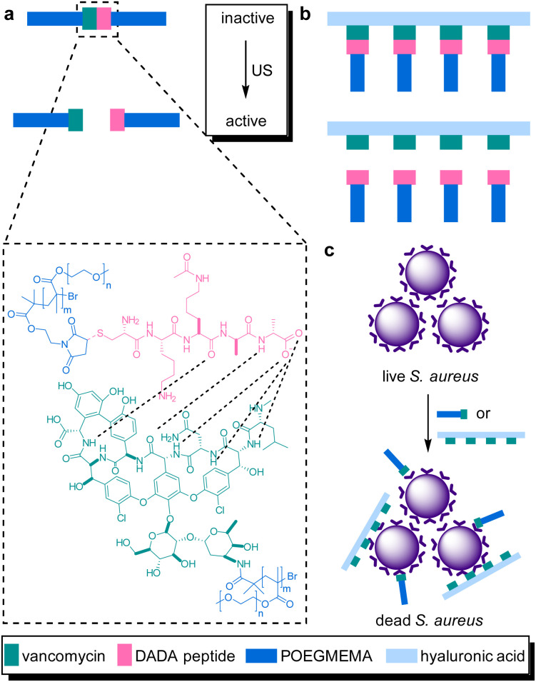 Fig. 10