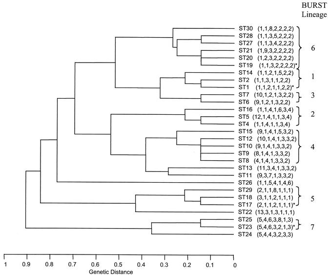 FIG. 2.