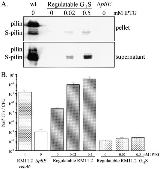 FIG. 6.