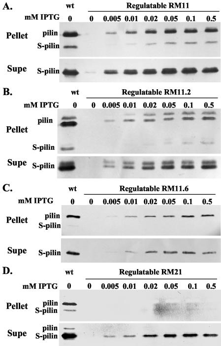 FIG. 3.