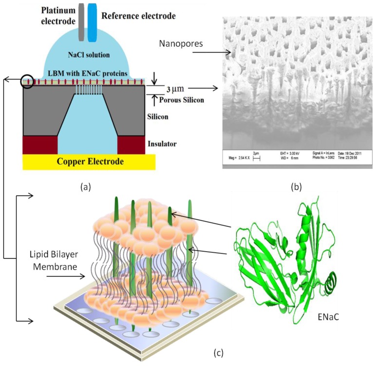 Figure 16